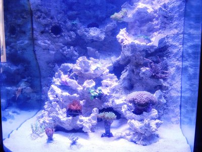 DSCN4181.JPG