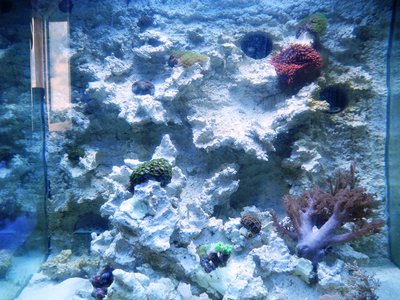 DSCN4180.JPG