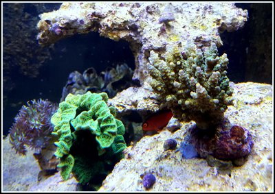 20160202_205109.jpg