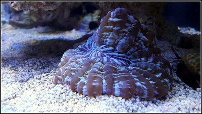 20160120_165002.jpg