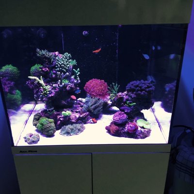 image1.JPG