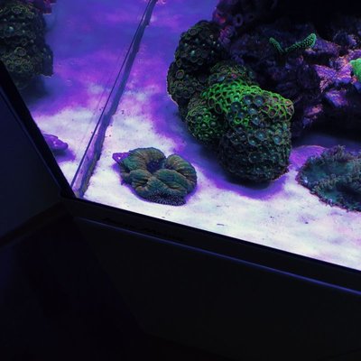 image3.JPG