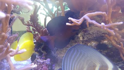 20160304_161727.jpg
