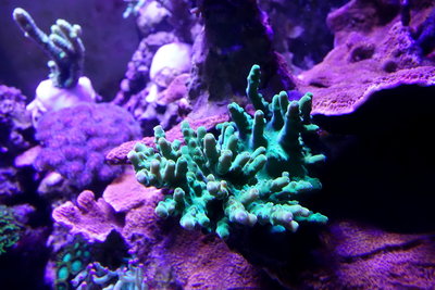 2016_03_13-05.JPG