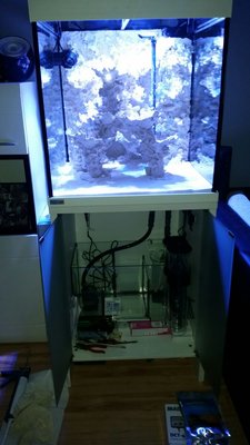 IMG-20160317-WA0026.jpg