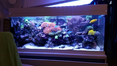 2015-08-06 21.56.17.jpg