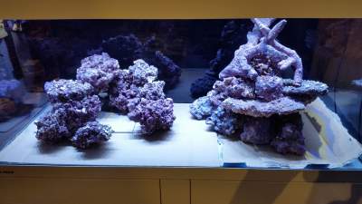 20160326_003743-min__1459009309_83.78.230.162.jpg