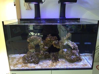 Reefer 250
