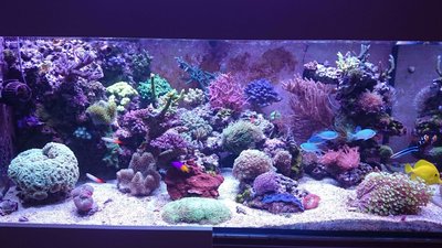 Gesamtansicht Becken.JPG