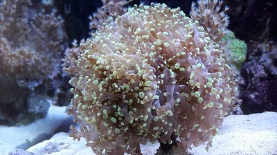 K640_20160224_184513.JPG