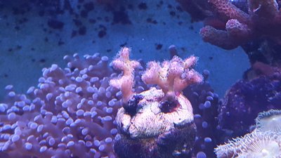 20160502_183117.jpg