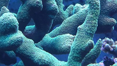 20160502_183335.jpg