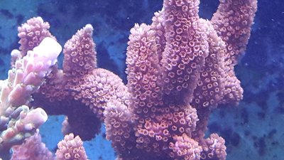20160502_183330.jpg