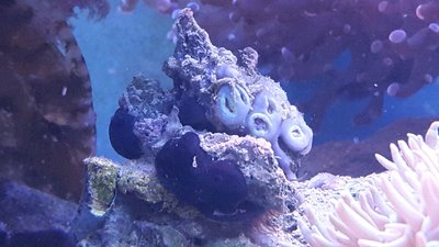 20160502_183156.jpg