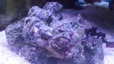 20160502_183210.jpg
