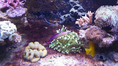 20160512_161905.jpg