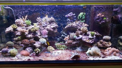 20160512_161923.jpg
