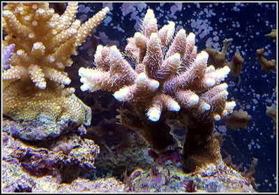 20160527_150055.jpg