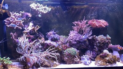 20160616_151903-640x360.jpg