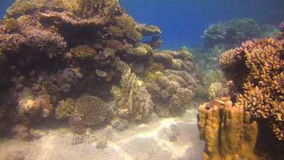 Aquarium 2.jpg