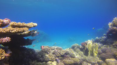 Aquarium 4.jpg