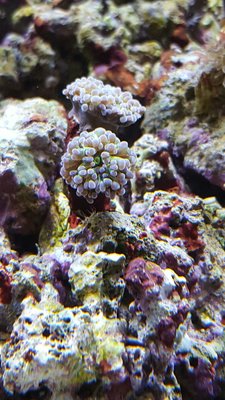 IMG-20160723-WA0015.jpg