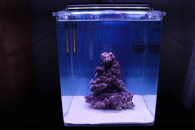 Nano1.jpg (276.17 KiB) 17754 mal betrachtet Hier ein Foto, damit ihr eine Vorstellung von meinem Nano bekommt.