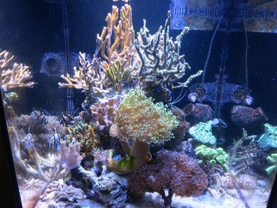 IMG_6499a.jpg
