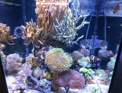 IMG_6412b.jpg
