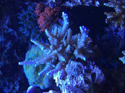 IMG_1508.JPG
