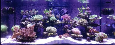 IMG_20161102_142202.jpg