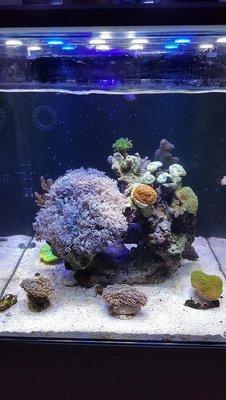 20161106_132809[1].jpg