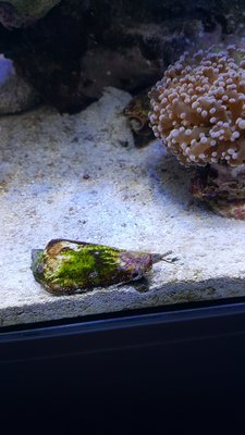 20161106_152327.jpg