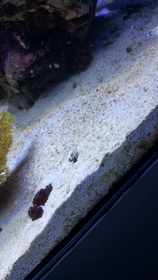 20161106_152340.jpg