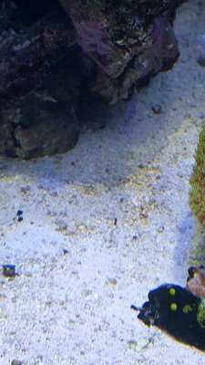 20161106_152408.jpg