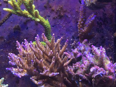IMG_1213.JPG