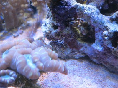 IMG_7064a.jpg