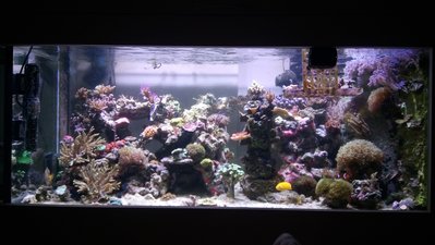DSC_0276.JPG