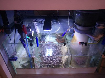 DSC_0268.JPG