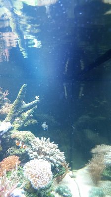 20150914_225655_resized.jpg