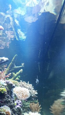 20150914_225709_resized.jpg
