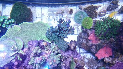 k-DSC_0479.JPG