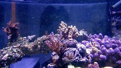 k-DSC_0485.JPG