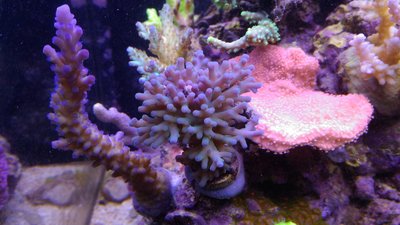 P_20170208_123717.jpg