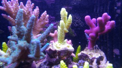 P_20170208_123737.jpg