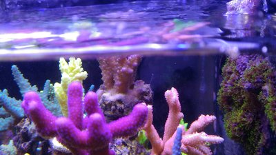 P_20170208_123806.jpg