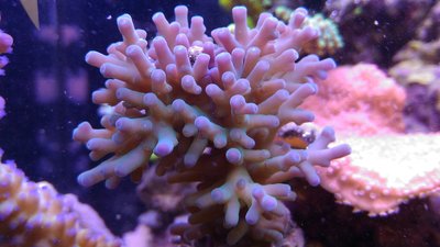 P_20170208_123927.jpg