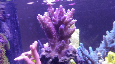 P_20170208_124305.jpg