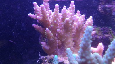 P_20170208_124323.jpg