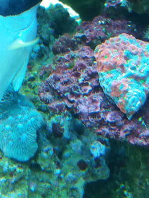 20170210_114450.jpg